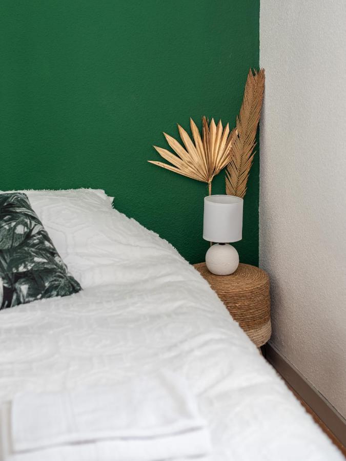 غرونوبل Bel Appartement Renove المظهر الخارجي الصورة